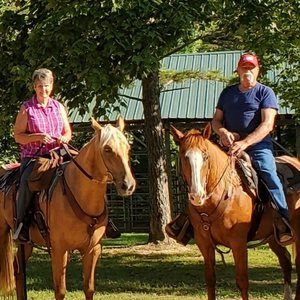 Meet your Posher, Donna